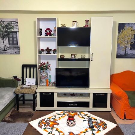 Blue Guesthouse Gjirokaster Luaran gambar