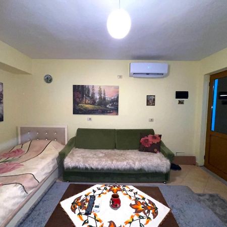 Blue Guesthouse Gjirokaster Luaran gambar